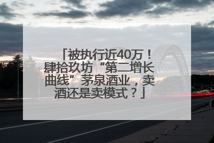 被执行近40万！肆拾玖坊“第二增长曲线”茅泉酒业，卖酒还是卖模式？