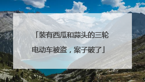 装有西瓜和蒜头的三轮电动车被盗，案子破了