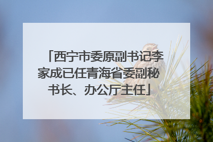 西宁市委原副书记李家成已任青海省委副秘书长、办公厅主任