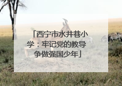 西宁市水井巷小学：牢记党的教导 争做强国少年