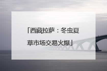 西藏拉萨：冬虫夏草市场交易火爆