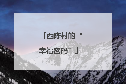 西陈村的“幸福密码”