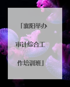 襄阳举办审计综合工作培训班