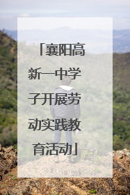 襄阳高新一中学子开展劳动实践教育活动