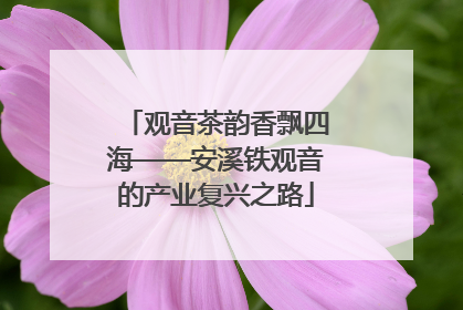 观音茶韵香飘四海——安溪铁观音的产业复兴之路