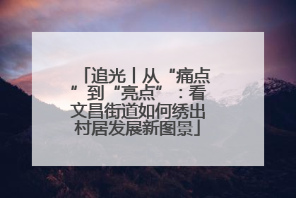 追光丨从“痛点”到“亮点”：看文昌街道如何绣出村居发展新图景