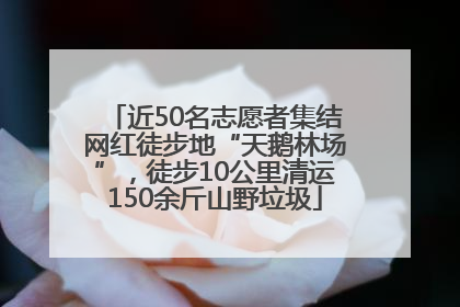 近50名志愿者集结网红徒步地“天鹅林场”，徒步10公里清运150余斤山野垃圾
