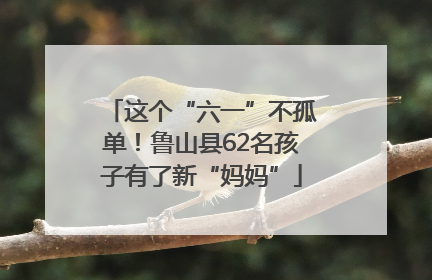 这个“六一”不孤单！鲁山县62名孩子有了新“妈妈”