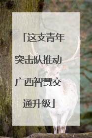 这支青年突击队推动广西智慧交通升级