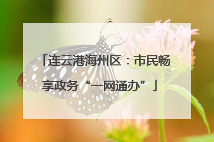 连云港海州区：市民畅享政务“一网通办”