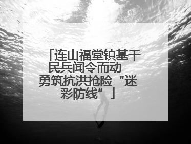 连山福堂镇基干民兵闻令而动  勇筑抗洪抢险“迷彩防线”