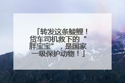 转发这条鲮鲤！货车司机救下的“胖宝宝”，是国家一级保护动物！