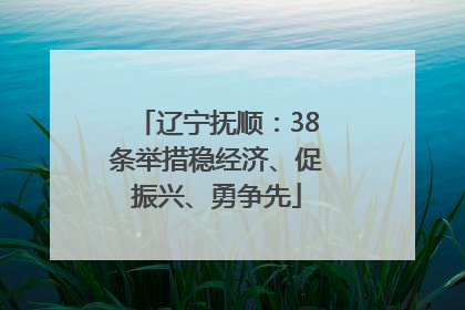 辽宁抚顺：38条举措稳经济、促振兴、勇争先