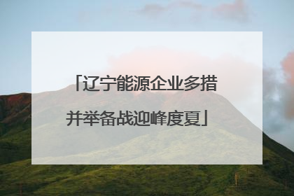 辽宁能源企业多措并举备战迎峰度夏