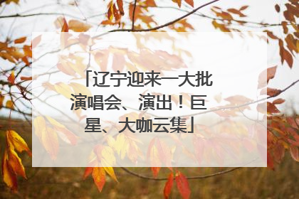 辽宁迎来一大批演唱会、演出！巨星、大咖云集