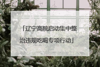 辽宁高院启动集中整治违规吃喝专项行动