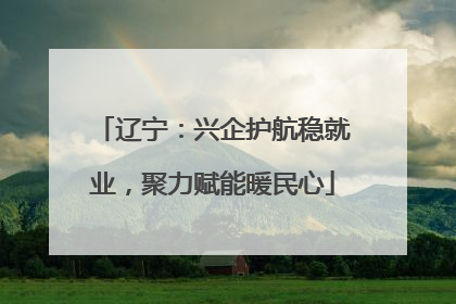 辽宁：兴企护航稳就业，聚力赋能暖民心