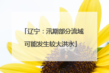 辽宁：汛期部分流域可能发生较大洪水