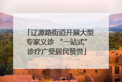 辽源路街道开展大型专家义诊 “一站式”诊疗广受居民赞誉