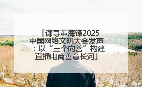谦寻董海锋2025中国网络文明大会发声：以“三个向善”构建直播电商善意长河