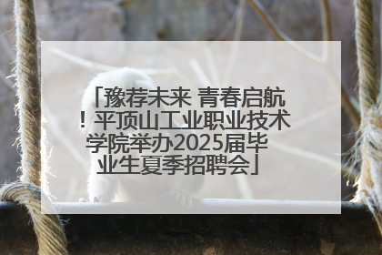 豫荐未来 青春启航！平顶山工业职业技术学院举办2025届毕业生夏季招聘会