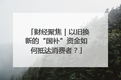 财经聚焦｜以旧换新的“国补”资金如何抵达消费者？