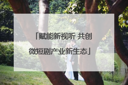 赋能新视听 共创微短剧产业新生态