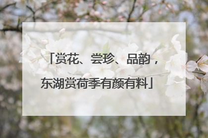赏花、尝珍、品韵，东湖赏荷季有颜有料