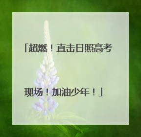 超燃！直击日照高考现场！加油少年！