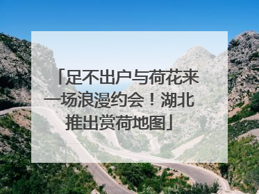 足不出户与荷花来一场浪漫约会！湖北推出赏荷地图