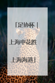 足协杯｜上海申花胜上海海港