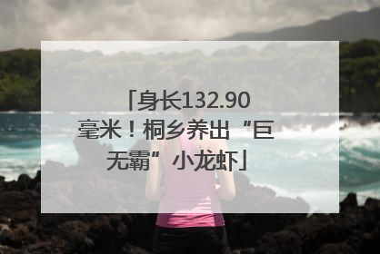 身长132.90毫米！桐乡养出“巨无霸”小龙虾
