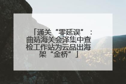 通关“零延误”：曲靖海关会泽集中查检工作站为云品出海架“金桥”
