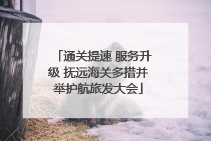 通关提速 服务升级 抚远海关多措并举护航旅发大会