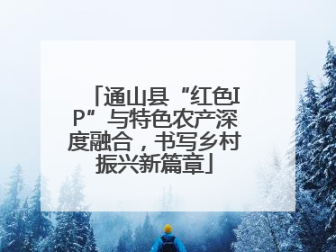 通山县“红色IP”与特色农产深度融合，书写乡村振兴新篇章