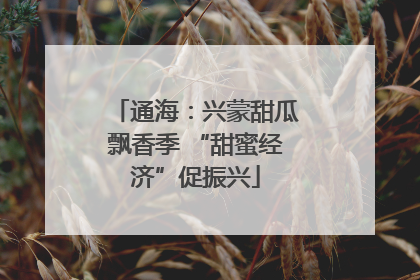 通海：兴蒙甜瓜飘香季 “甜蜜经济”促振兴