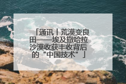 通讯丨荒漠变良田——埃及撒哈拉沙漠收获丰收背后的“中国技术”
