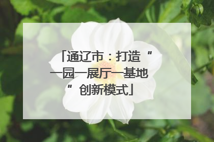 通辽市：打造“一园一展厅一基地”创新模式