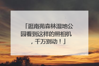 逛南苑森林湿地公园看到这样的照相机，千万别动！