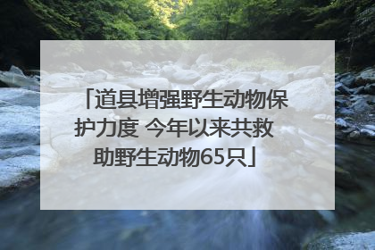 道县增强野生动物保护力度 今年以来共救助野生动物65只