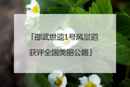 邵武世遗1号风景道获评全国美丽公路