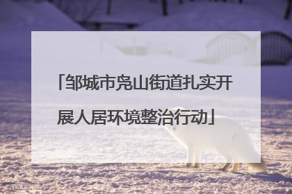 邹城市凫山街道扎实开展人居环境整治行动