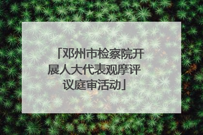 邓州市检察院开展人大代表观摩评议庭审活动