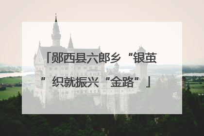 郧西县六郎乡“银茧”织就振兴“金路”