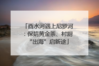 酉水河遇上尼罗河：保靖黄金茶、村厨“出海”启新途