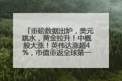 重磅数据出炉，美元跳水，黄金拉升！中概股大涨！英伟达涨超4%，市值重返全球第一！黄仁勋计划出售至多600万股股票