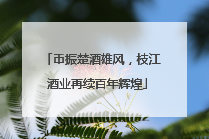 重振楚酒雄风，枝江酒业再续百年辉煌