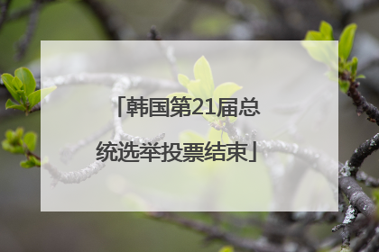 韩国第21届总统选举投票结束