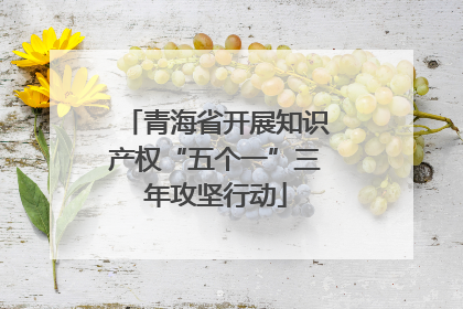 青海省开展知识产权“五个一”三年攻坚行动