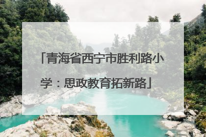青海省西宁市胜利路小学：思政教育拓新路